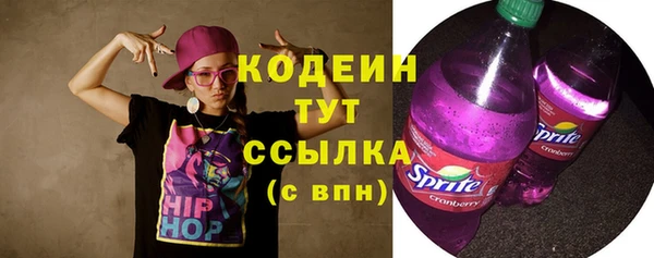 индика Балабаново
