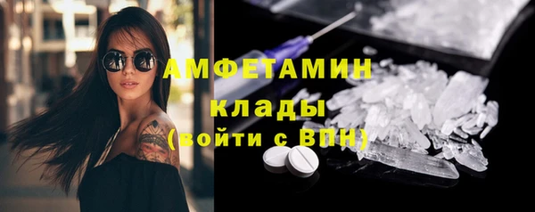 индика Беломорск