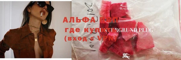 индика Беломорск