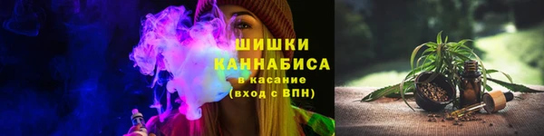 индика Беломорск