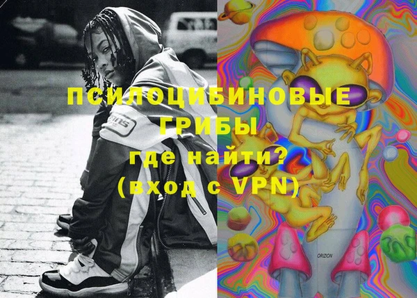 индика Беломорск