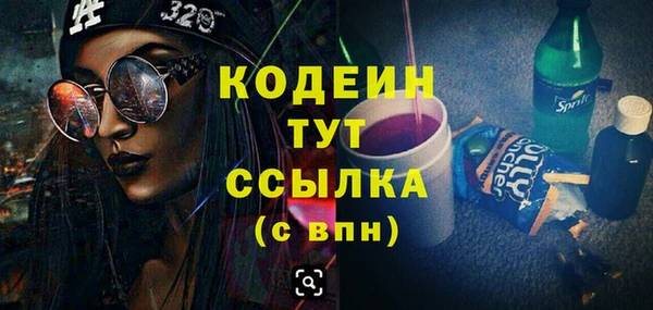 индика Балабаново
