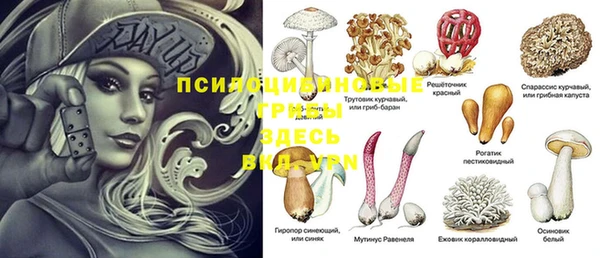 героин Белокуриха